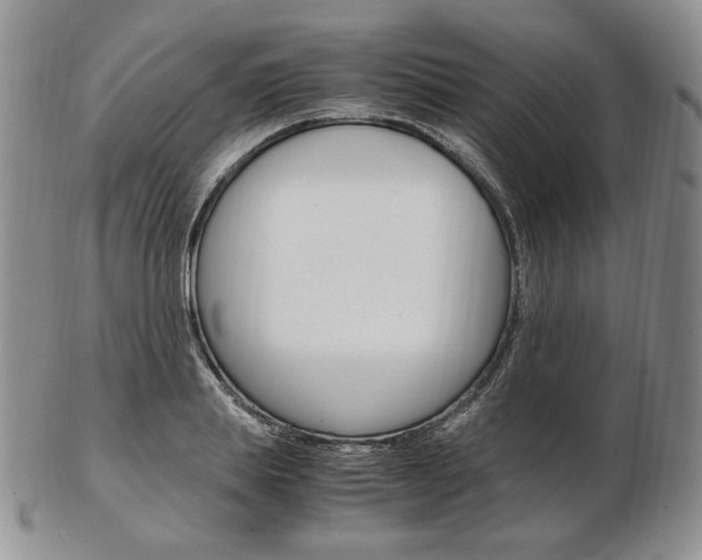X0000103130839200808221039