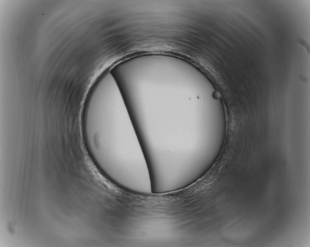 X0000103130840200808221039