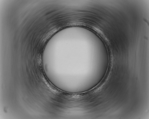 X0000103130841200808221039