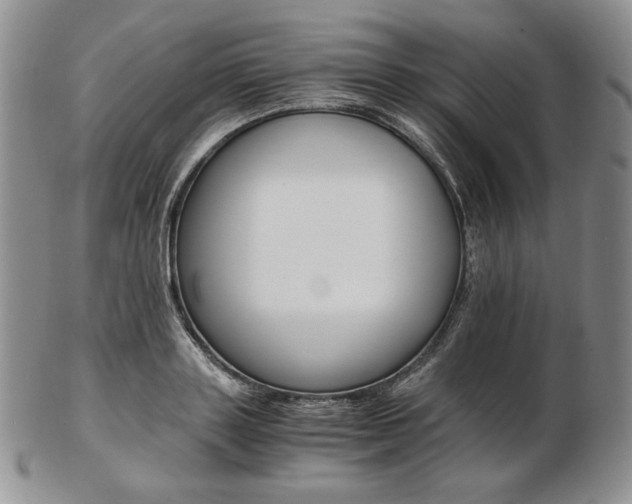 X0000103130843200808221039