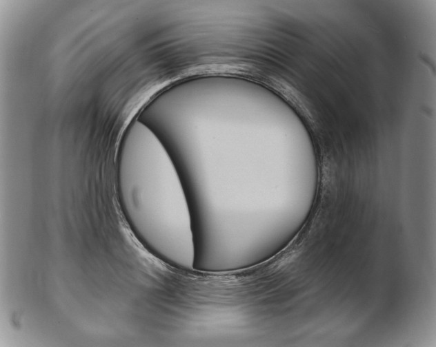 X0000103130844200808221039