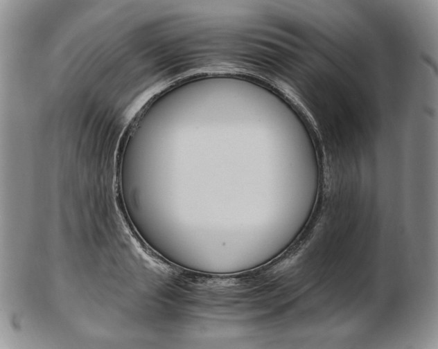X0000103130845200808221039