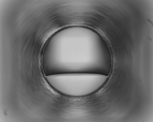 X0000103130846200808221039