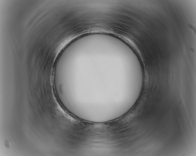 X0000103130847200808221039