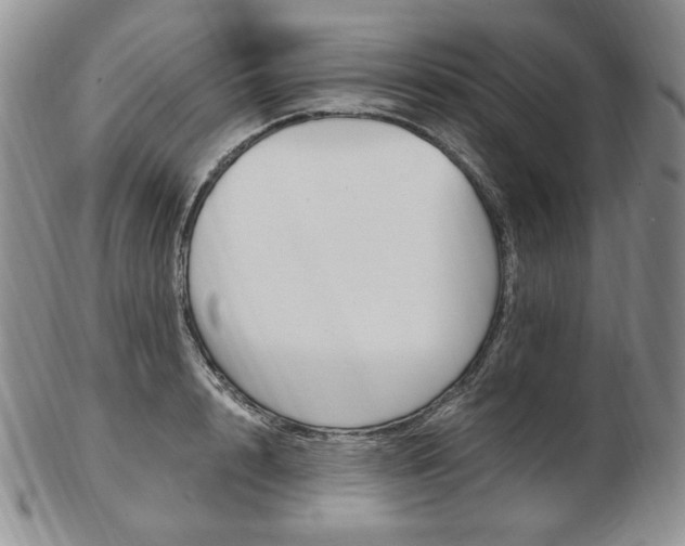 X0000103130848200808221039