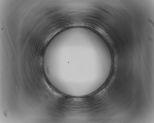 X0000103130849200808221039