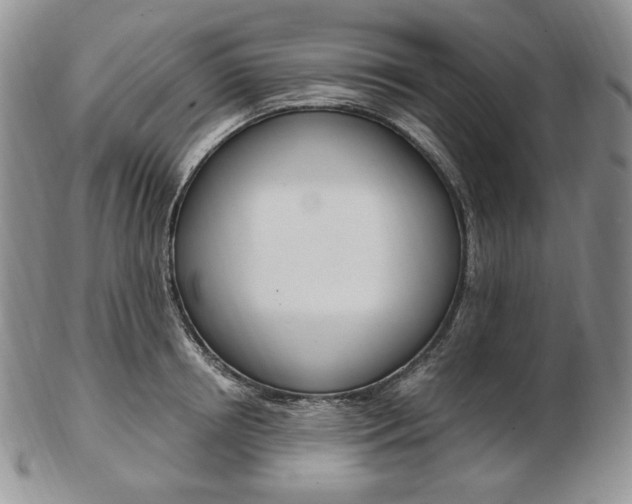 X0000103130850200808221039