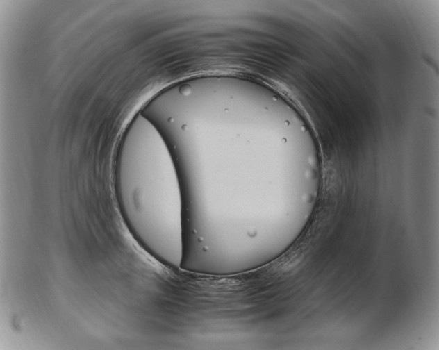 X0000103130851200808221039