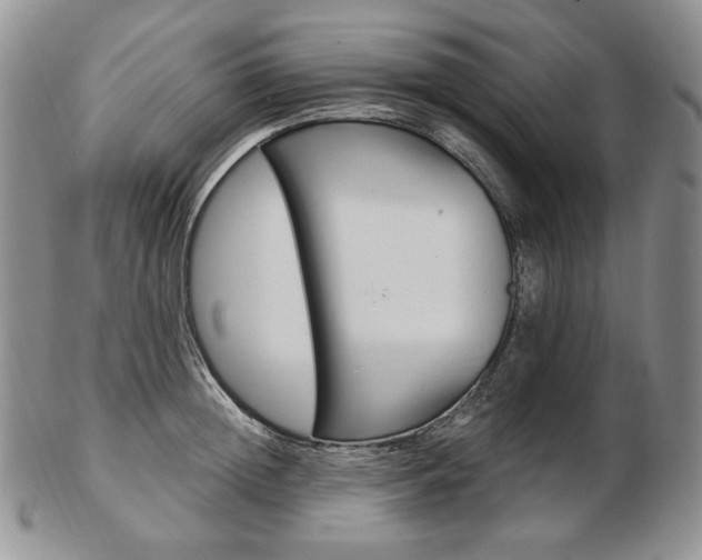X0000103130852200808221039