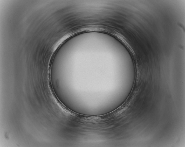 X0000103130853200808221040