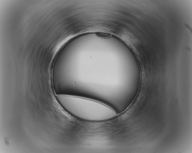 X0000103130854200808221040
