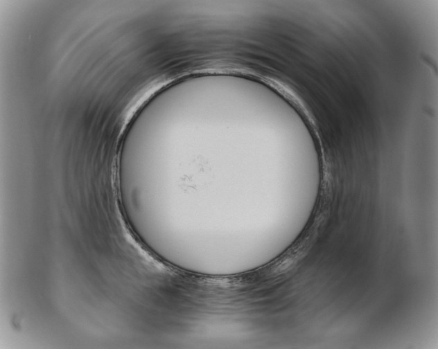 X0000103130855200808221040