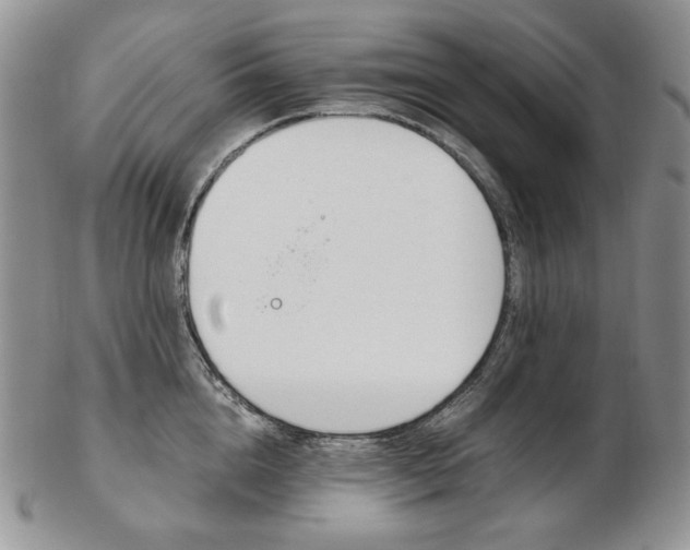 X0000103130856200808221040