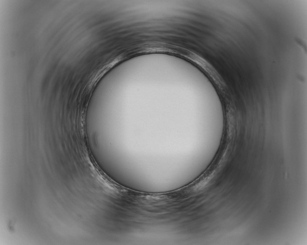 X0000103130857200808221040