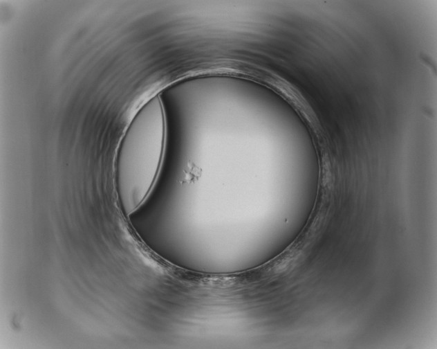 X0000103130858200808221040