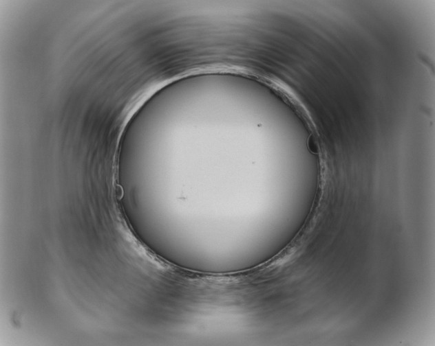 X0000103130860200808221040