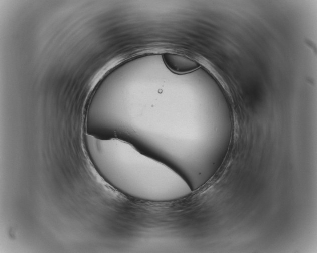 X0000103130861200808221040