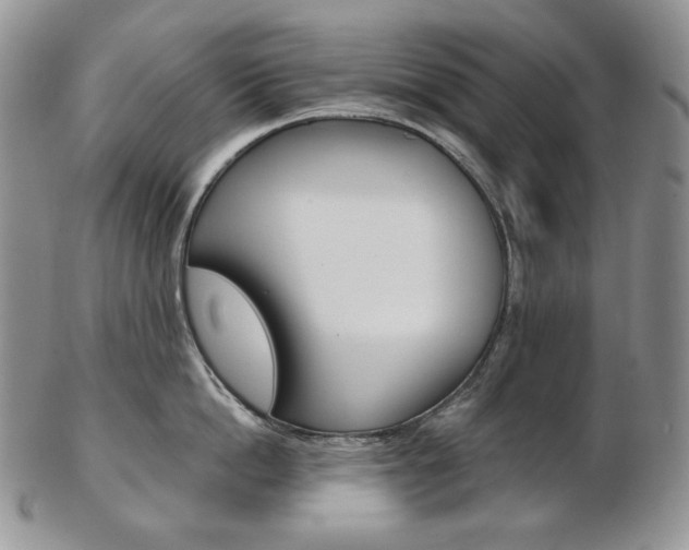 X0000103130862200808221040