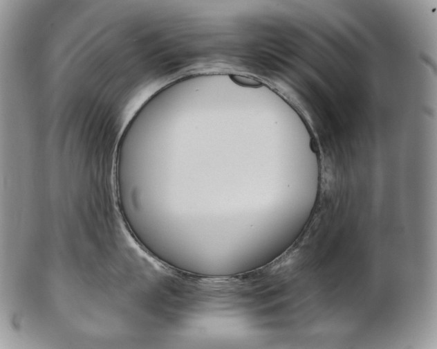 X0000103130863200808221040