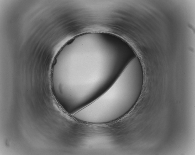 X0000103130864200808221040