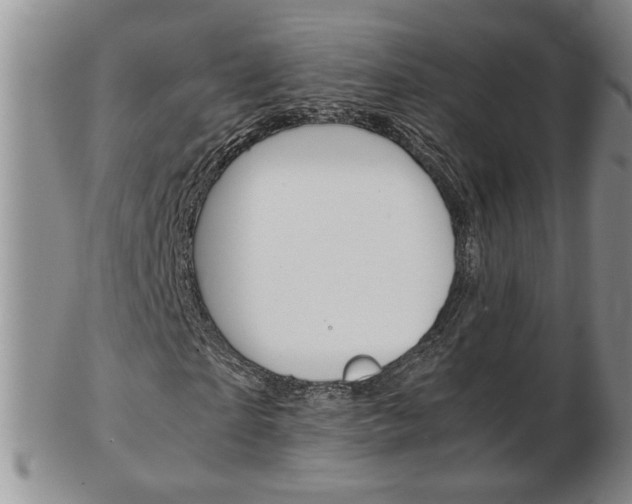 X0000103130865200808221039