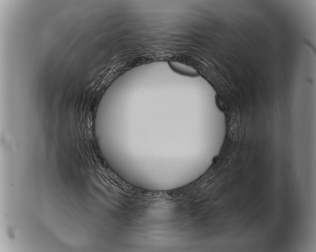 X0000103130866200808221039