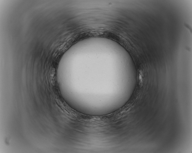 X0000103130867200808221039