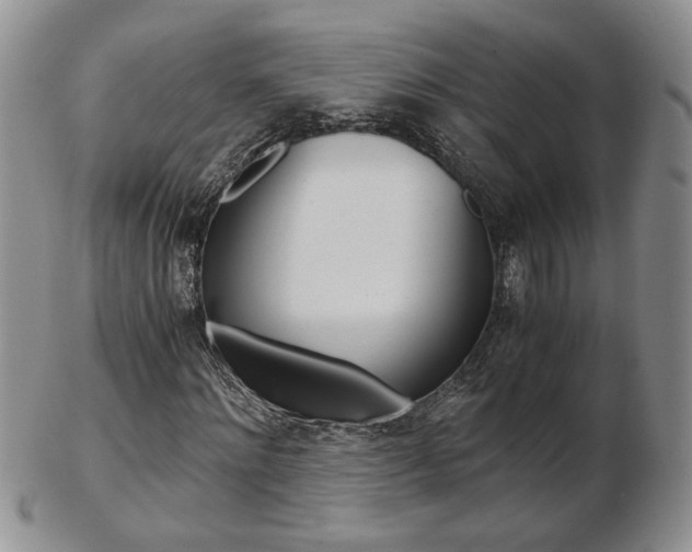 X0000103130868200808221039