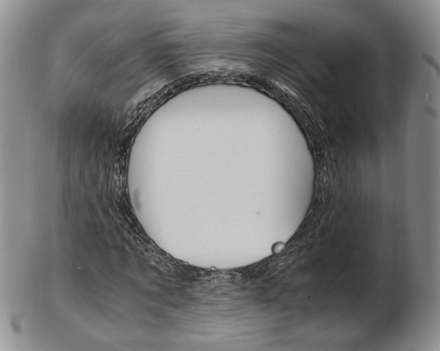 X0000103130869200808221039