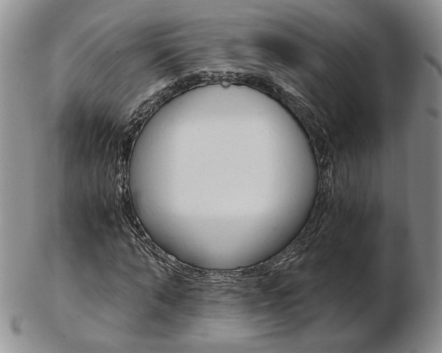 X0000103130870200808221039