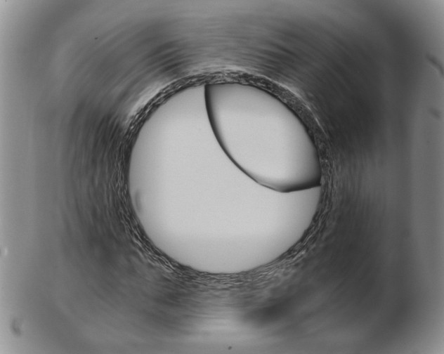 X0000103130871200808221039