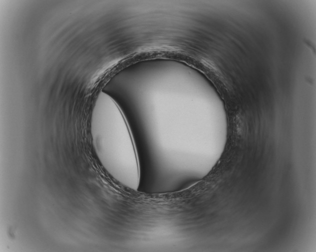 X0000103130872200808221039
