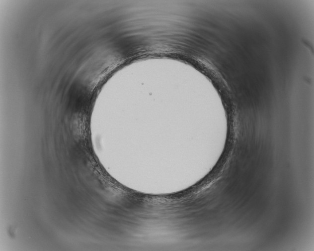 X0000103130873200808221039