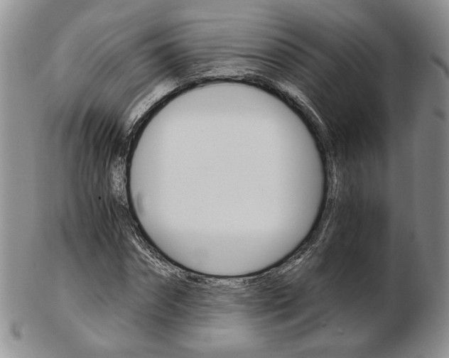 X0000103130874200808221039