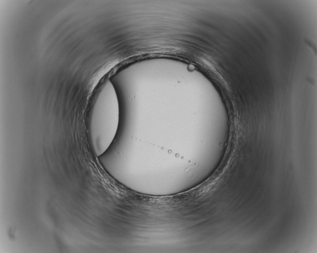 X0000103130875200808221039