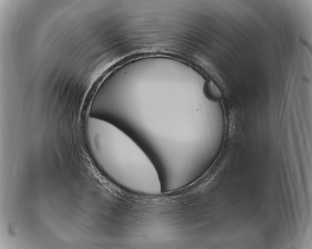 X0000103130876200808221039
