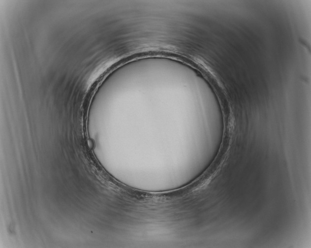 X0000103130877200808221039