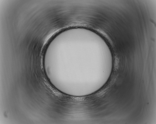 X0000103130878200808221039