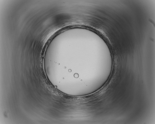 X0000103130879200808221039