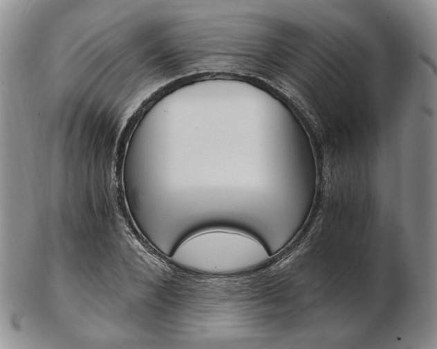 X0000103130880200808221039
