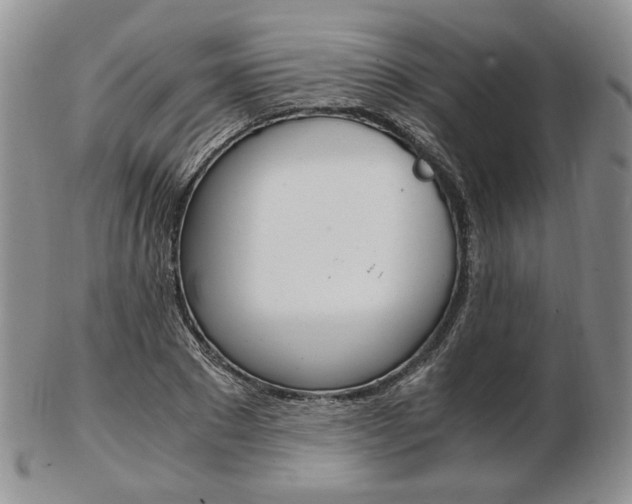 X0000103130881200808221039