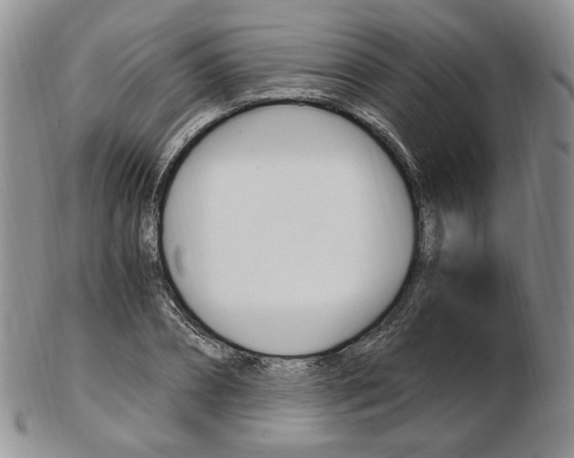 X0000103130882200808221039