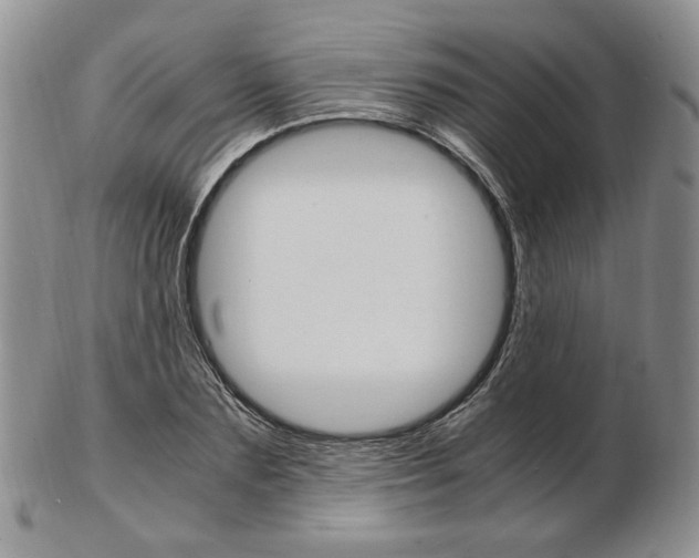 X0000103130883200808221039