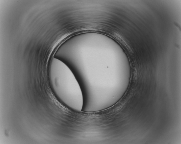 X0000103130884200808221039