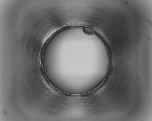 X0000103130885200808221039