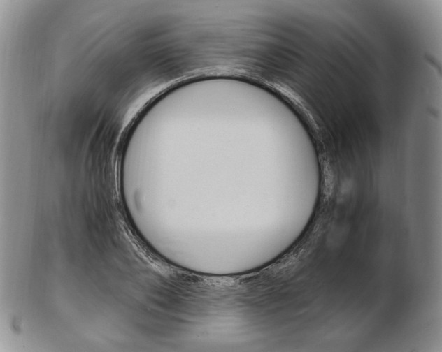X0000103130886200808221039