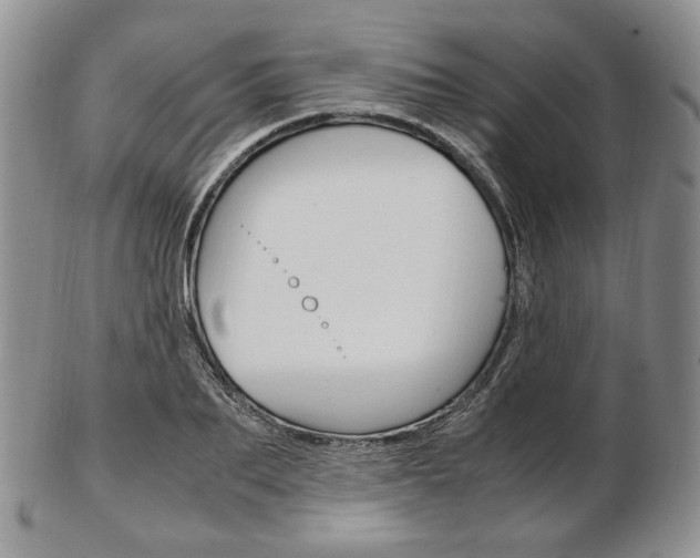 X0000103130887200808221039