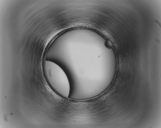 X0000103130888200808221039