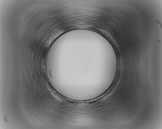 X0000103130889200808221039