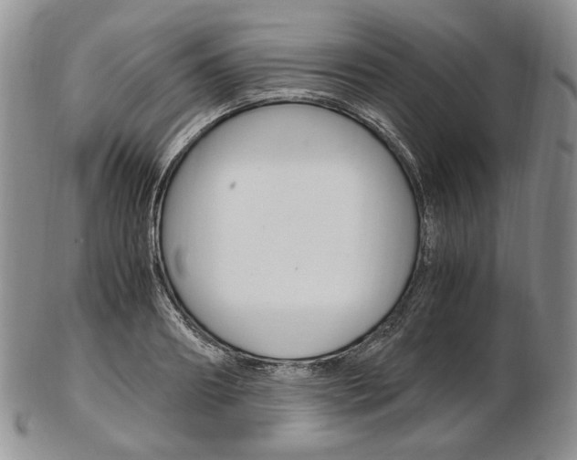 X0000103130890200808221039